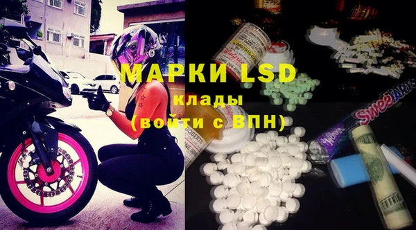 мяу мяу мука Баксан
